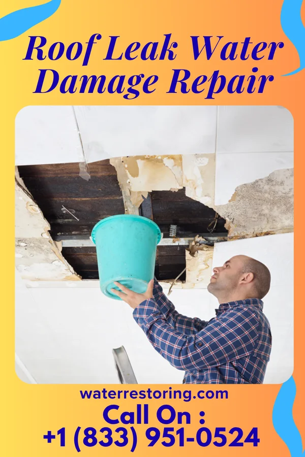 Roof Leak Water Damage Repair in Emhouse, TX